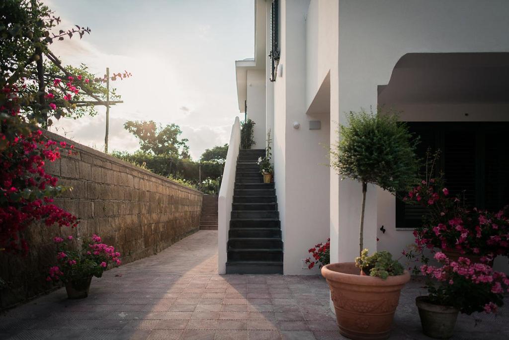 L'Agrumeto Procida Exterior photo